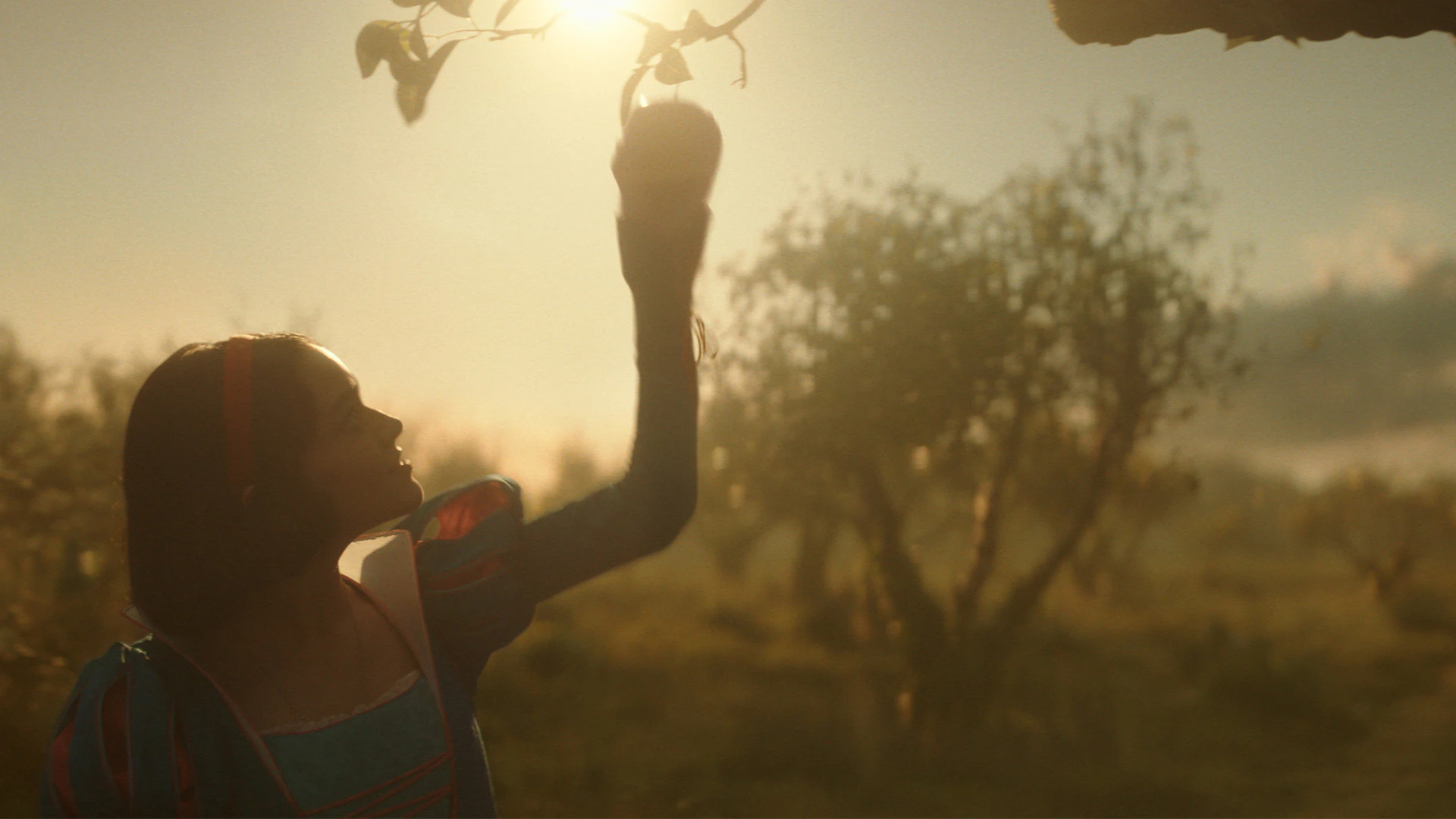 Harkins Theatres | Home